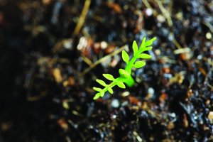 方案全方位解析